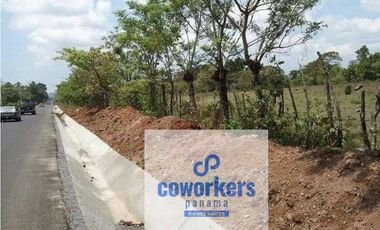 CHIRIQUI/FINCA LOS ALGARROBOS \VENTA