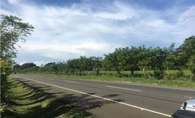 CHIRIQUI/FINCA LOS ALGARROBOS \VENTA