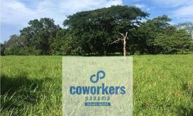 CHIRIQUI/FINCA LOS ALGARROBOS \VENTA