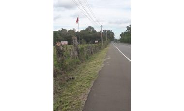 CHIRIQUI/FINCA LOS ALGARROBOS \VENTA