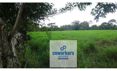 CHIRIQUI/FINCA LOS ALGARROBOS \VENTA