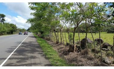 CHIRIQUI/FINCA LOS ALGARROBOS \VENTA