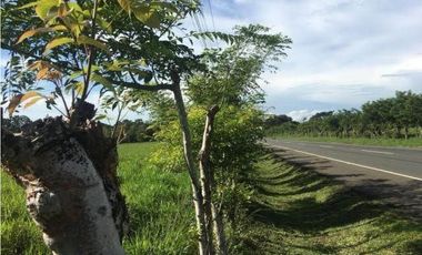 CHIRIQUI/FINCA LOS ALGARROBOS \VENTA