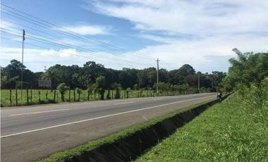 CHIRIQUI/FINCA LOS ALGARROBOS \VENTA