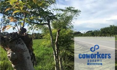 CHIRIQUI/FINCA LOS ALGARROBOS \VENTA