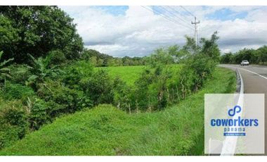 CHIRIQUI/FINCA LOS ALGARROBOS \VENTA