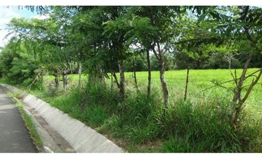 CHIRIQUI/FINCA LOS ALGARROBOS \VENTA