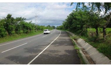 CHIRIQUI/FINCA LOS ALGARROBOS \VENTA