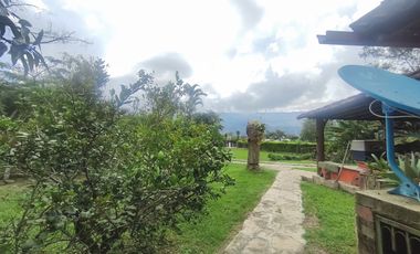 finca en venta en finca ana maria. Cod V14083