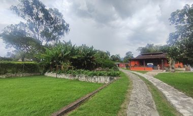 finca en venta en finca ana maria. Cod V14083