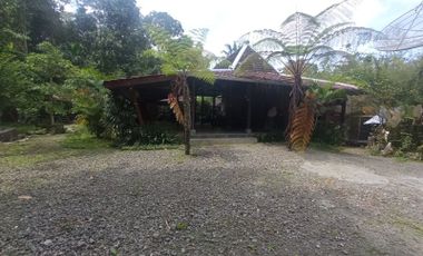 Rumah Joglo Dijual Lokasi di Cangkringan: Halaman Luas
