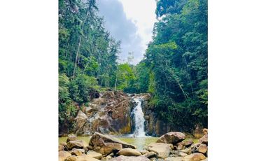 SE VENDE ESPECTACULAR CABAÑA EN CERRO AZUL $135,000