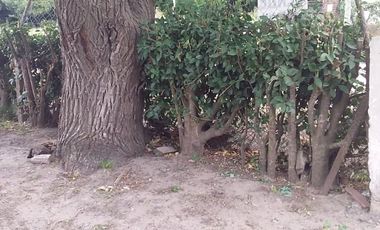 VENTA CASA A RECICLAR CORONEL VIDAL