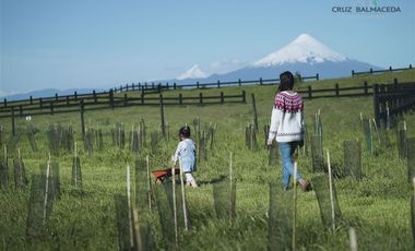 Parcela en Venta en Camino a Pichilaguna, Llanquihue