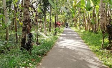 Land for sale, river view and jungle in Ubud, Bali