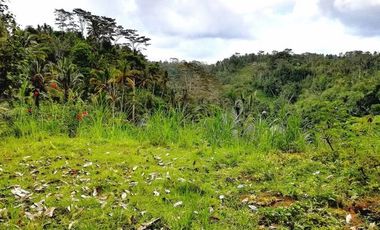 Land for sale, river view and jungle in Ubud, Bali
