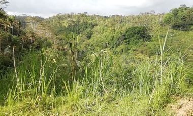 Land for sale, river view and jungle in Ubud, Bali