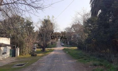 Casa - Villa Elisa
