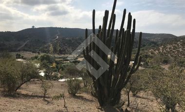 Parcela en Venta en Sector los Maitenes