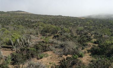 Parcela en Venta en LOTEO QUEBRADA LA PALETA / OCHO QUEBRADAS