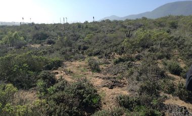 Parcela en Venta en LOTEO QUEBRADA LA PALETA / OCHO QUEBRADAS