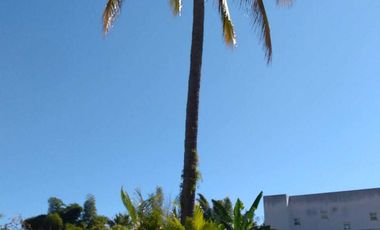 Casa en Venta en Xochitepec, Morelos