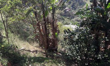 VENDO O CAMBIO ESTA CASA FINCA EN BARBOSA ANTIOQUIA.