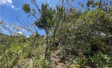 VENTA FINCA EN SANTA ELENA
