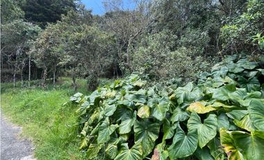 VENTA FINCA EN SANTA ELENA