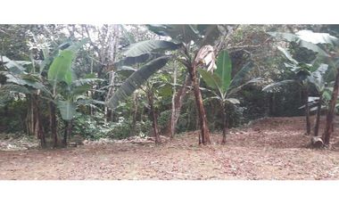 VENDO CASA Y 2160M2 TITULADO POTRERILLOS