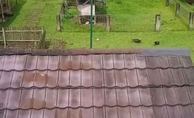 DIJUAL VILLA SUKABUMI 4 HEKTAR CANTIK TERAWAT MAU DIJUAL CEPAT