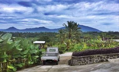 DIJUAL VILLA SUKABUMI 4 HEKTAR CANTIK TERAWAT MAU DIJUAL CEPAT