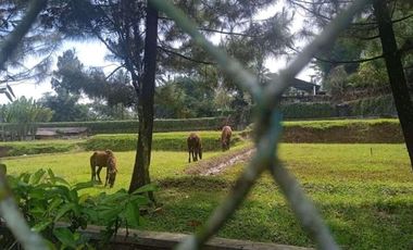 DIJUAL VILLA SUKABUMI 4 HEKTAR CANTIK TERAWAT MAU DIJUAL CEPAT