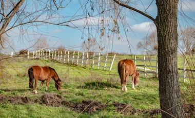 En Venta Parcelas Provincia de Talca a 25 min de Talca - VII