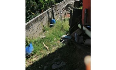 VENDE FINCA HELICONIA LA CHORRERA