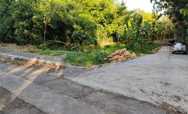 Jl. KW. Industri Sentolo Jogja: Tanah 1 Jt-an/m