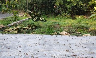 Jl. KW. Industri Sentolo Jogja: Tanah 1 Jt-an/m