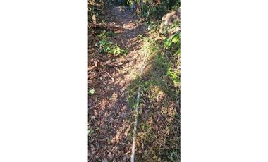 VENDO FINCA 1 HAS EN BOQUETE PALMIRA