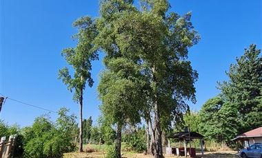 Parcela en Venta en KM. 9 ENTRADA SAN GERARDO