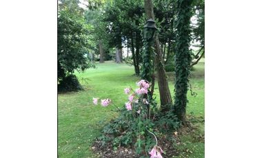 LOTE SIERRA DE LOS PADRES