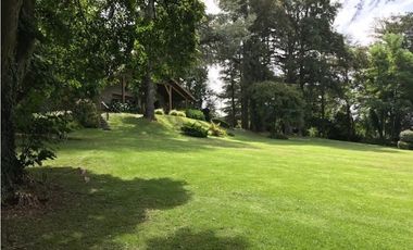 LOTE SIERRA DE LOS PADRES