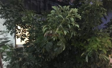 Amplio Duplex a metros de Av Libertador Al Rio