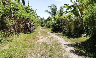 Land for sale at cheap prices in Kediri, Tabanan, Bali
