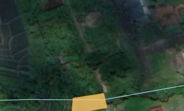 Land for sale at cheap prices in Kediri, Tabanan, Bali