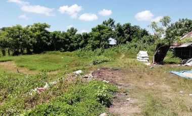 Land for sale at cheap prices in Kediri, Tabanan, Bali