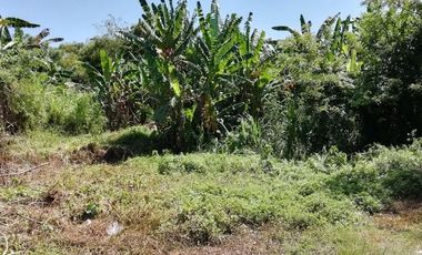 Land for sale at cheap prices in Kediri, Tabanan, Bali