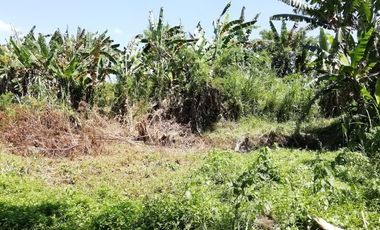 Land for sale at cheap prices in Kediri, Tabanan, Bali