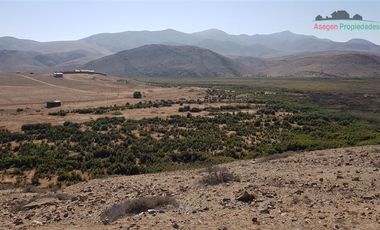 Parcela en Venta en Parcela camino a Totoral