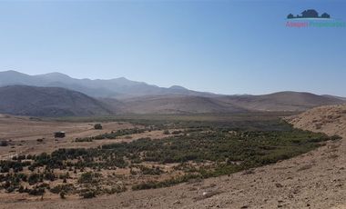Parcela en Venta en Parcela camino a Totoral