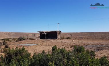 Parcela en Venta en Parcela camino a Totoral